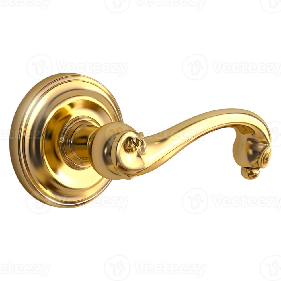 luxurious door handle